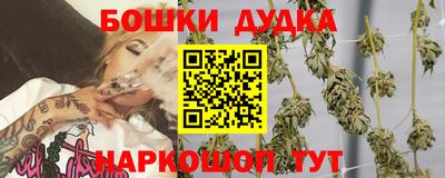 Альфа ПВП Дубна