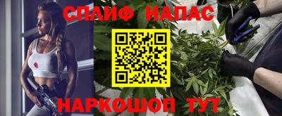 Альфа ПВП Дубна