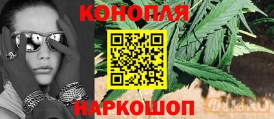 Альфа ПВП Дубна