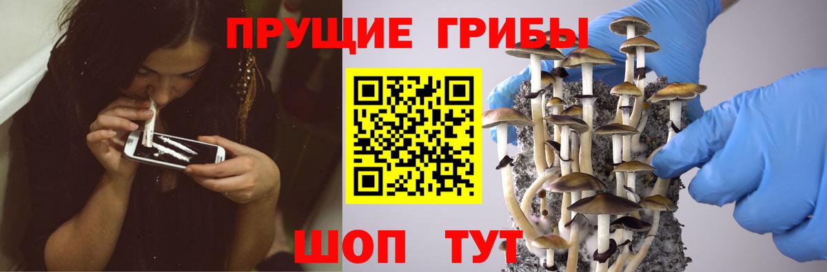 Галлюциногенные грибы Psilocybine cubensis  Вход с VPN  Моздок  Псилоцибиновые грибы ЛСД 